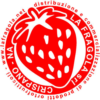 distribuzione e commercializzazione prodotti ortofrutticoli